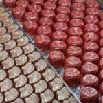 Yarra Valley, Dandenong Ranges inc. lunch with wine,plus morning tea,chocolate - How the Day Flows and What You’ll Experience