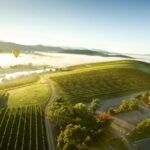 Yarra Valley Wine Day Tour - The Itinerary: A Closer Look