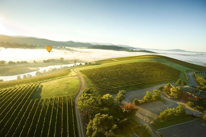 Yarra Valley Wine Day Tour - The Itinerary: A Closer Look