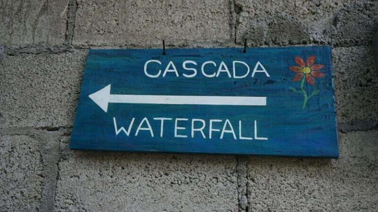 Yelapa: Catamaran Cruise with Lunch and Open Bar - What’s Included and What’s Not