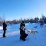 Yellowknife: Dog Sledding Tour - Who Is This Tour Best For?