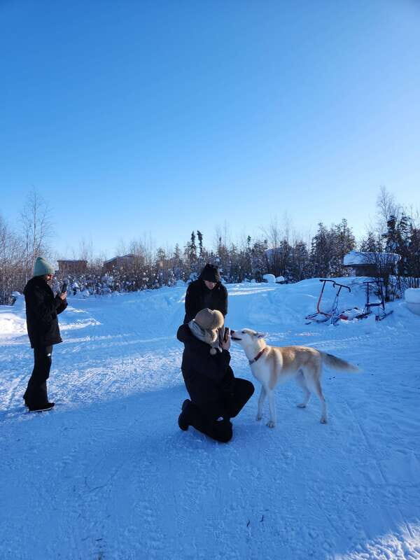 Yellowknife: Dog Sledding Tour - Who Is This Tour Best For?