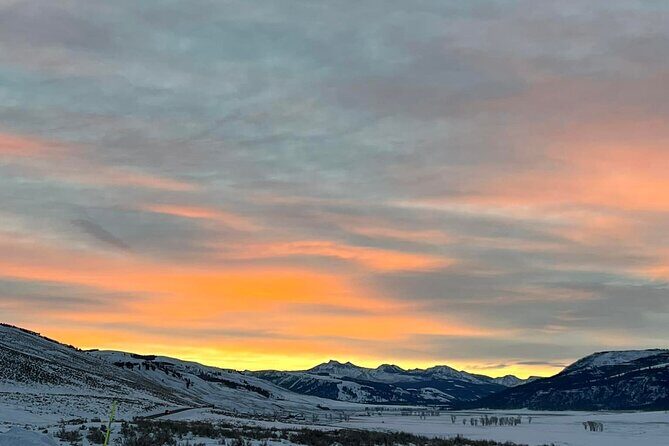 Yellowstone Full-Day Upper Loop with Wildlife Adventure w/Lunch - The Itinerary Breakdown and Why It Matters