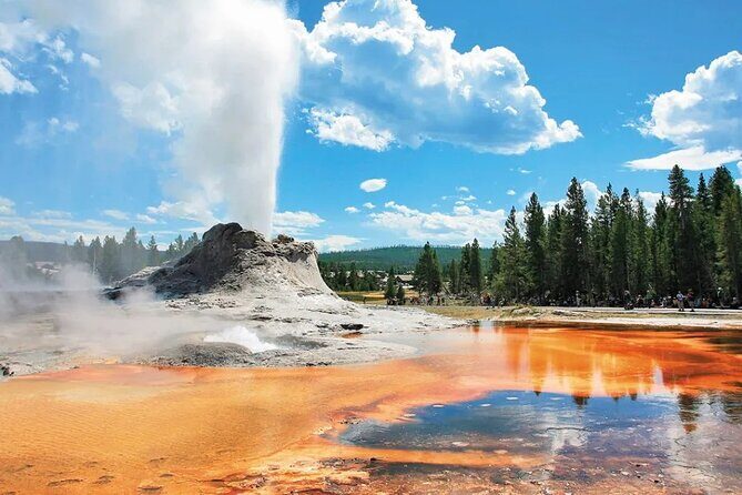Yellowstone Grand Teton and Coeur dAlene 5-Day Tour from Seattle - Transportation and Comfort