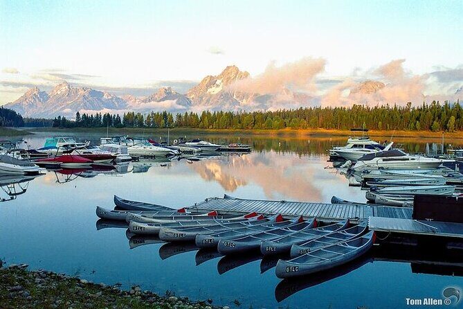 Yellowstone & Grand Teton National Parks: Small Group 6-Day Tour - What Travelers Say