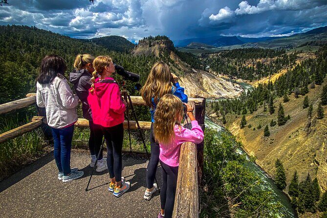 Yellowstone & Grand Teton Nat'l Parks Day Tour - Private Tour - The Value of This Tour