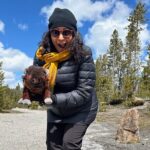 Yellowstone Hidden Gems Hiking Tour West Yellowstone - Practical Details and Considerations