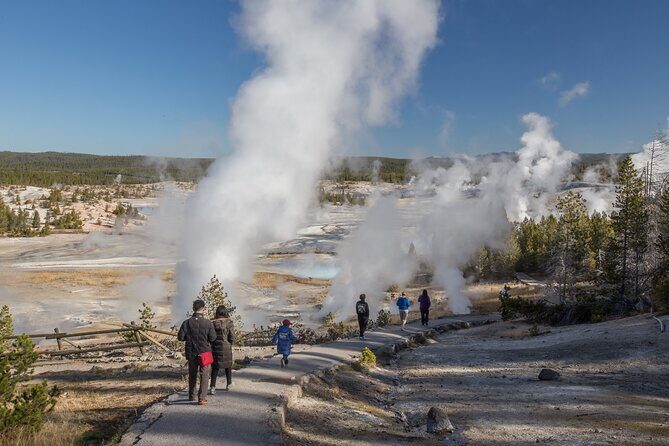 Yellowstone in a Day - Wildlife, Canyons, & Hot Springs - Exploring the Itinerary