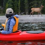 Yellowstone Lake Kayaking Adventure Among Thermal Features - What Makes This Tour Stand Out?