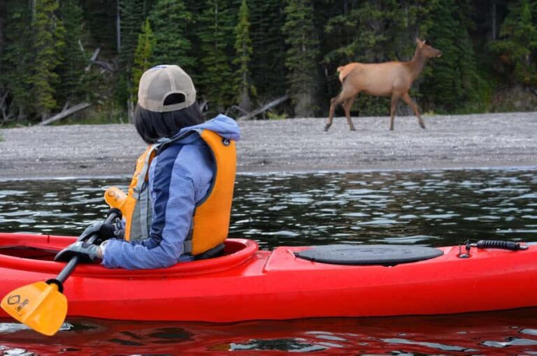 Yellowstone Lake Kayaking Adventure Among Thermal Features - What Makes This Tour Stand Out?
