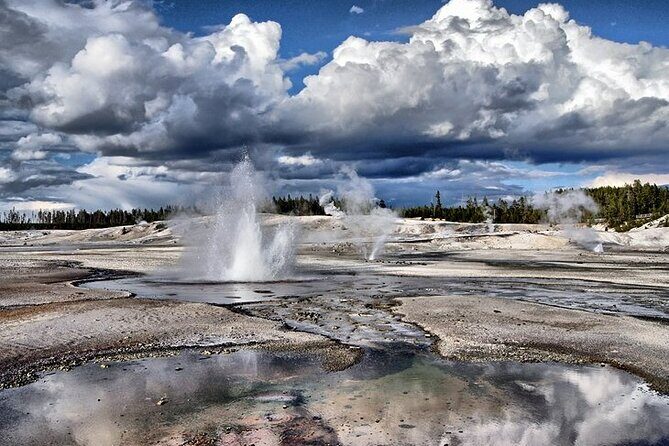 Yellowstone Lower Loop VIP Full-Day Private Tour with Lunch - What’s Included and What to Expect