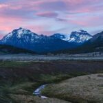 Yellowstone National Park: 1 Day Wildlife Photography Tour - What to Expect from the Yellowstone Winter Photography Tour