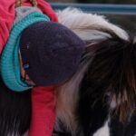 Yoga with Horses - Guides and Expertise