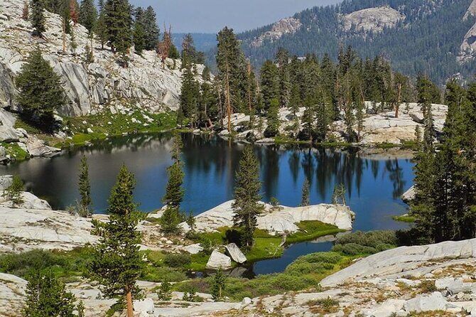 Yosemite and Kings Canyon National Park 2 Day Tour from LA - What You Can Expect at Each Stop