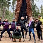 Yosemite Full Day Private Tour - Final Thoughts: Is the Yosemite Full Day Private Tour Right for You?