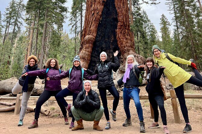 Yosemite Full Day Private Tour - Final Thoughts: Is the Yosemite Full Day Private Tour Right for You?