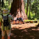 Yosemite: Giant Sequoia Private 4X4 Jeep Tour - The Scenic Hike and Sequoia Grove