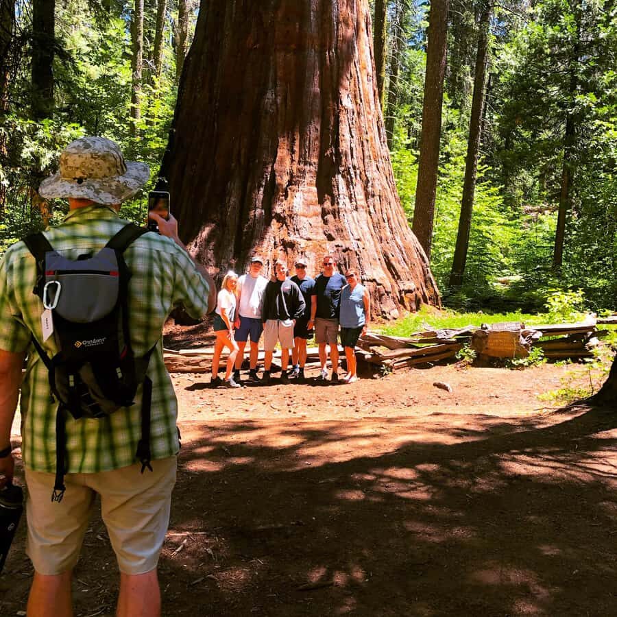Yosemite: Giant Sequoia Private 4X4 Jeep Tour - The Scenic Hike and Sequoia Grove