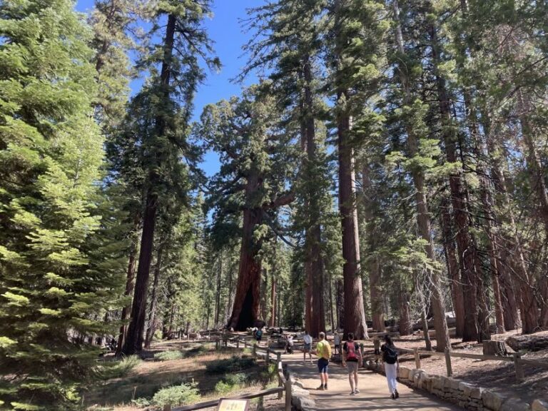 Yosemite, Giant Sequoias, Private Tour from San Francisco - Who is This Tour Best For?