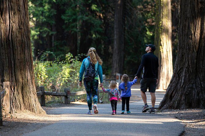 Yosemite Highlights & Giant Sequoias Day Tour from San Francisco - The Highlight: Giant Sequoias