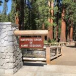 Yosemite Highlights Small Group Tour - The Value for Money