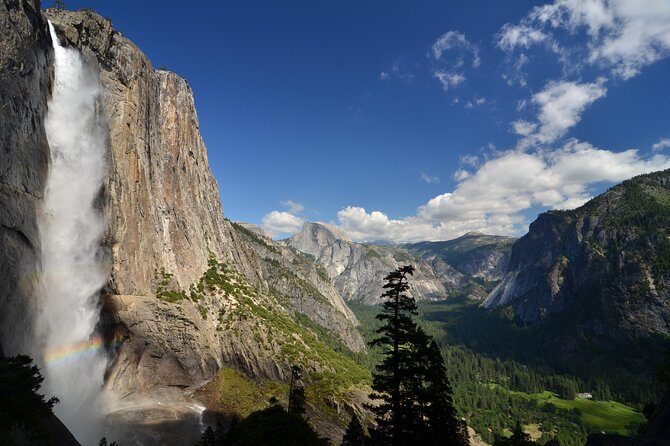 Yosemite National Park: Full Day Tour from San Francisco - What Do Travelers Say?