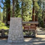 Yosemite National Park & Sequoias Private Tour from San Francisco - What Makes This Tour Stand Out?