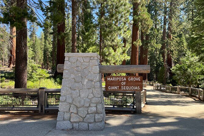 Yosemite National Park & Sequoias Private Tour from San Francisco - What Makes This Tour Stand Out?