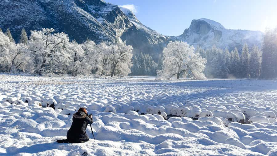Yosemite Through the Lens: Private Photography Workshop - Who Would Love This Experience?