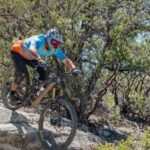 Yosemite Valley Area: Standard Bike Rental - The Sum Up: Is It Worth It?