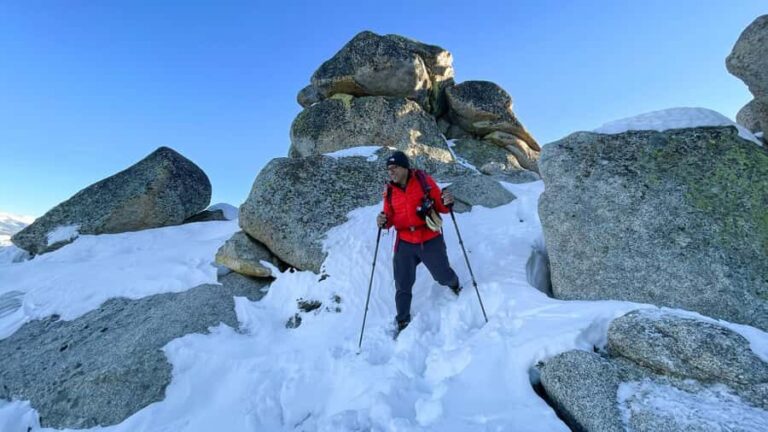 Yosemite Winter Wonderland: Guided Hiking or Snowshoeing - Pricing and Value