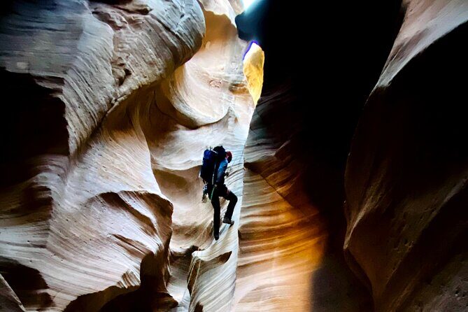 YOU DRIVE!! Rap & Ride - A Full Day of Rappelling and UTVs - Who Should Consider This Tour?