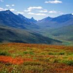 Yukon Aurora Viewing Package | 4 days - The Value of the Tour