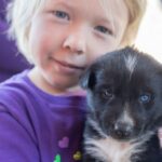 Yukon Dogs and Gold - Exploring the Scenic Stops