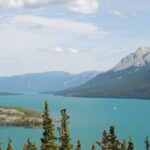 Yukon Extended Summit Drive Tour (From Skagway) - Real Traveler Insights