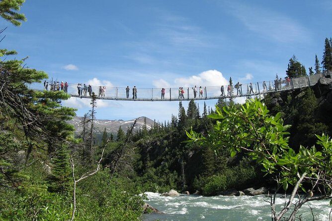 Yukon Suspension Bridge and Summit Tour - The Experience of the Guides