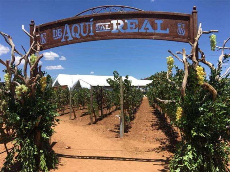 Zacatecas: Campo Real Vinícola Tour - Practical Details and Experience Quality