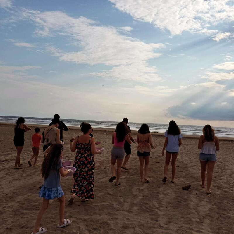 Zihuatanejo, Guerrero: Turtle Release Experience - The Guides and Their Role