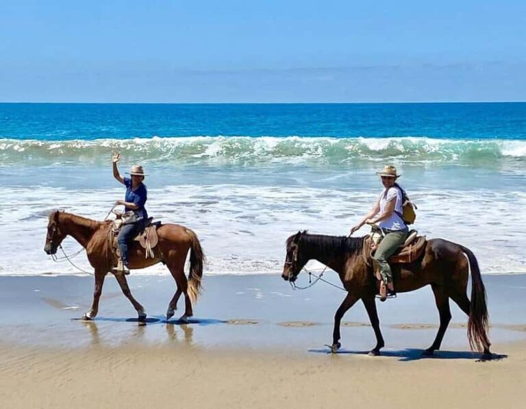 Zihuatanejo: Horseback Riding Tour with Playa Larga Beach - The Value of this Horseback Riding Experience