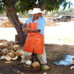 Zihuatanejo Ixtapa: Countryside Tour - How Do Travelers Feel About This Tour?