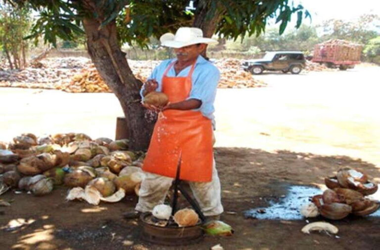 Zihuatanejo Ixtapa: Countryside Tour - How Do Travelers Feel About This Tour?