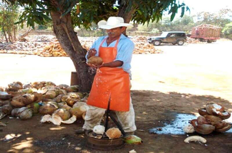 Zihuatanejo Ixtapa: Countryside Tour - How Do Travelers Feel About This Tour?