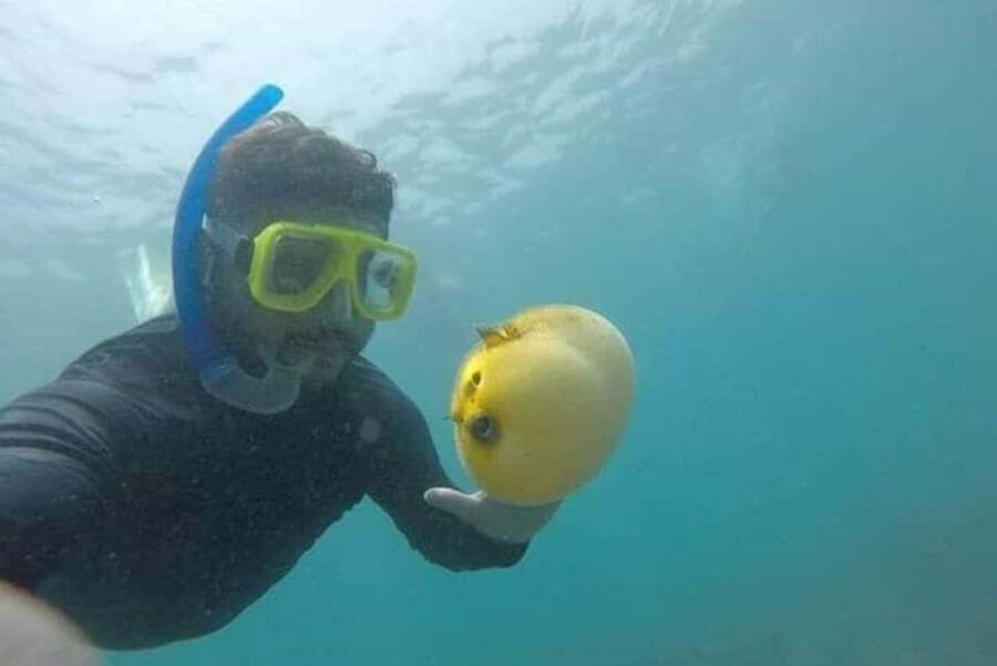 Zihuatanejo: Las Gatas Beach Snorkeling and Kayaking Tour - What’s Included and What You Need to Know