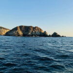 Zihuatanejo: Marine Life Observation Tour - The Experience of Watching Marine Life