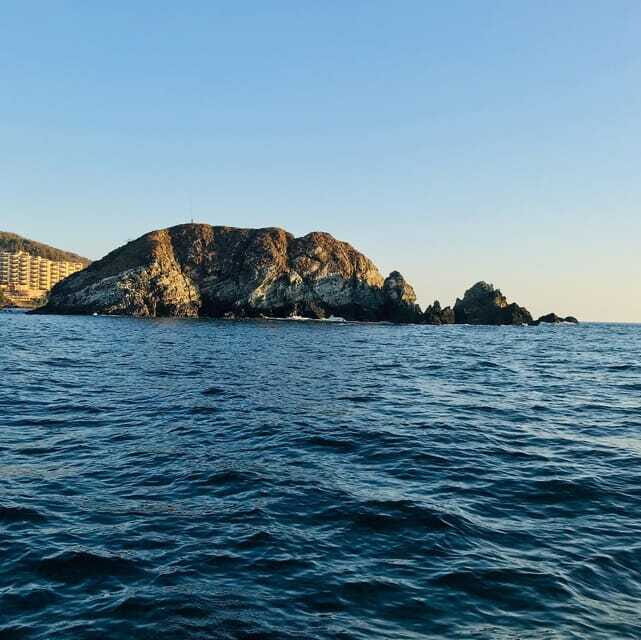 Zihuatanejo: Marine Life Observation Tour - The Experience of Watching Marine Life