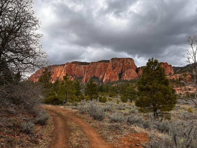 Zion National Park 5-hour Tour: Hike and Drive - Starting Early to Beat the Crowds