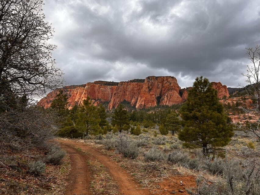 Zion National Park 5-hour Tour: Hike and Drive - Starting Early to Beat the Crowds