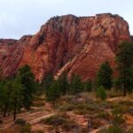 Zion National Park - Kolob Terrace: 1/2 Day Sightseeing Tour - FAQs