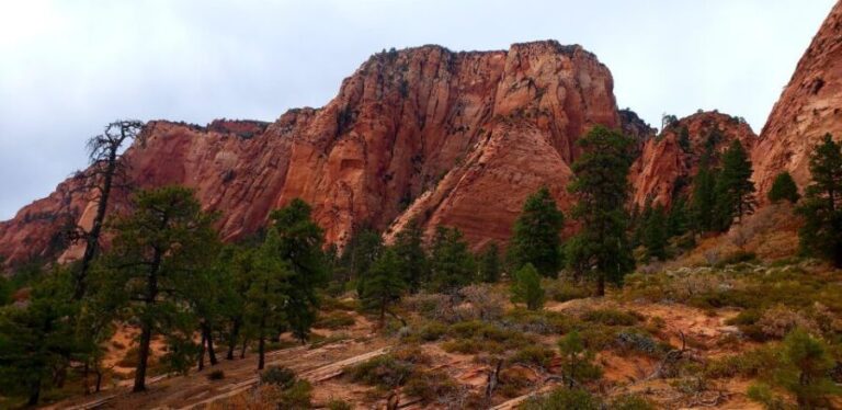 Zion National Park - Kolob Terrace: 1/2 Day Sightseeing Tour - FAQs