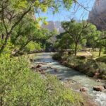 Zion National Park: Private Guided Hike & Picnic - The Itinerary
